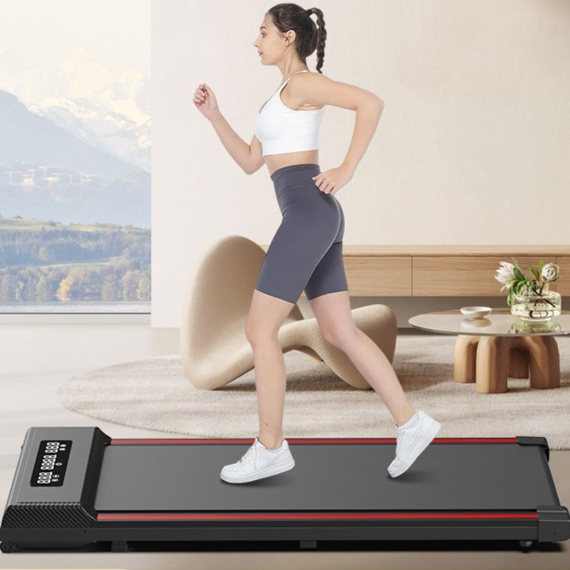Cardio & Full-Body Equipment