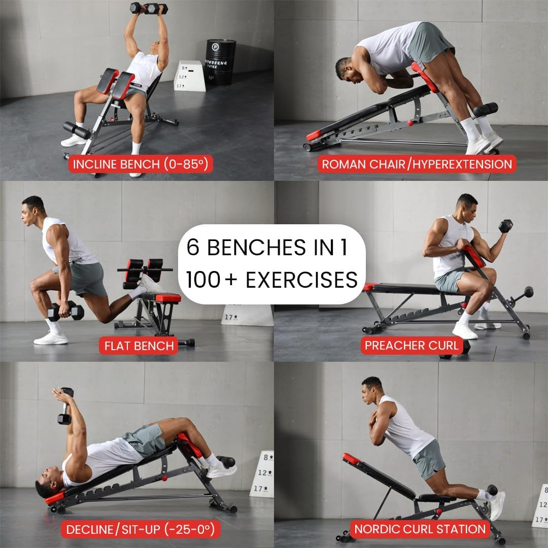 Versatile FID Weight Bench for Comprehensive Body Training